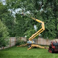 Best Hazardous Tree Removal  in Westhampton, NY