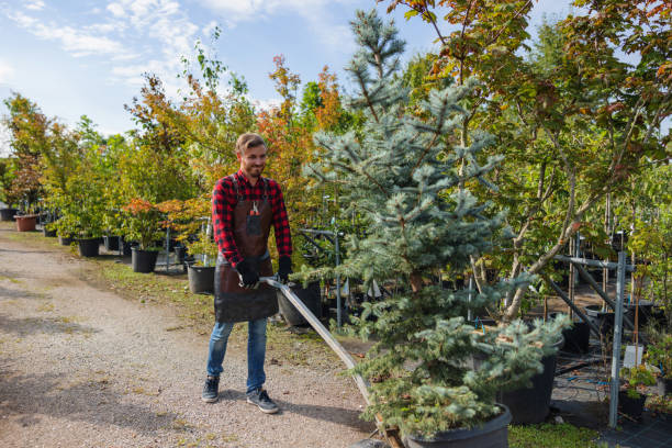 Best Seasonal Cleanup  in Westhampton, NY